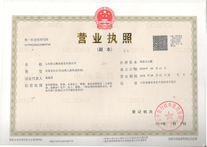 公司營(yíng)業(yè)執(zhí)照